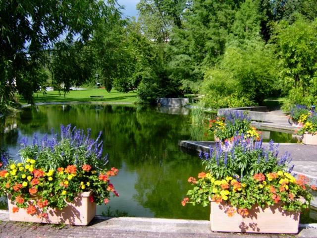 شقة Lotus باد بيلنغن المظهر الخارجي الصورة
